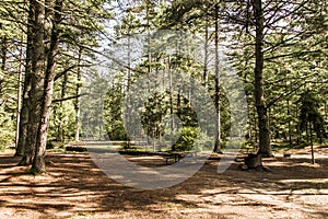 Empty tent camper Campground Lake of two rivers Algonquin National Park Beautiful natural forest landscape Canada