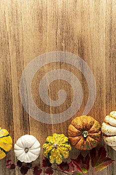 Empty Thanksgiving background with pumpkins and autumn leaves,