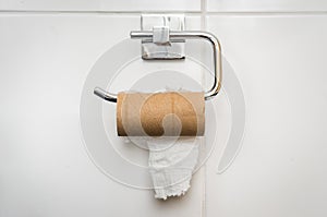 Empty toilet paper roll