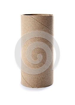 Empty toilet paper roll