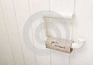 Empty toilet paper roll