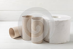 Empty toilet paper roll.