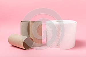 Empty toilet paper roll.