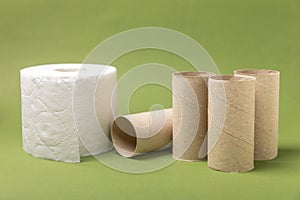 Empty toilet paper roll.
