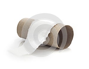 Empty toilet paper roll