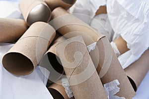 Empty Toilet Tissue Rolls