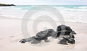 Empty Tortuga Bay beach on Santa Cruz Island, Galapagos Islands, Ecuador