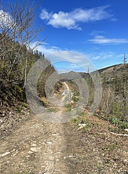 Empty trail on the Camino del Norte in Spain photo