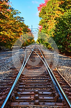 On empty train tracks leading into forest during fall foliage