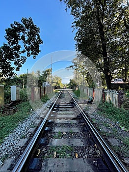 the empty train tracks are near many trees and some fences