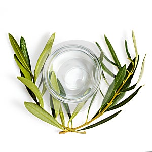 Empty transparent glass bowl for olive oil, stands on olive branches with fresh green leaves. closeup top view, high resolution