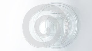 Empty Transparent plastic Container on White