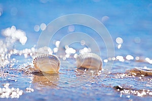 Empty transparent seashells in a warm wave of Black Sea beach in deep blue clear sky on a sunny summer morning backlight