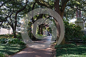 Empty Tree Lined Path at Wright Square in the Historic District of Savannah Georgia