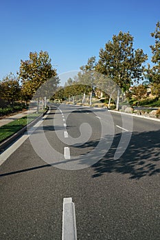 Empty tree lined street on sunny day