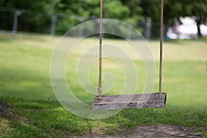 Empty tree rope swing with wooden board in summer park