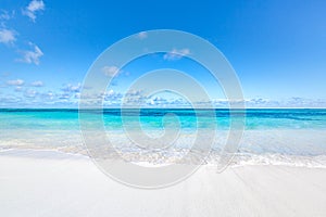 Empty tropical beach background. Horizon with sky and white sand