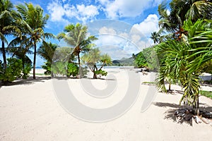 Empty tropical beach with Coconut palm trees. Mahe, Seychelles