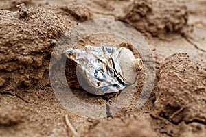 Empty tube of paint on muddy ground. Pollution