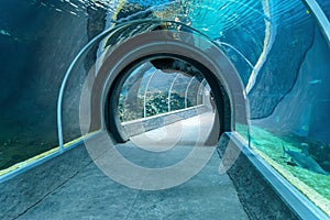 Empty tunnel in oceanarium