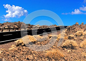 Empty two lane blacktop road in the desert with scrub plants arid landscape and blue sky with clouds
