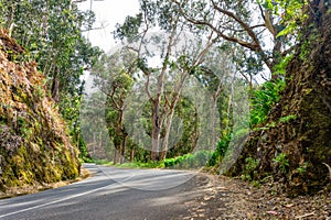 Empty typical road in Madeira island, Portugal