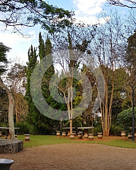 empty, unpeopled park with a calm space