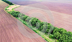 Empty unsown agricultural fields, drone view. Green forest strip.