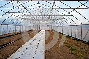 Empty vegetable greenhouse prepared with row covers