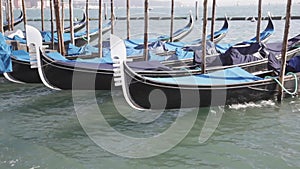 Empty Venice Gondolas