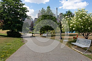 Empty Walkway with Green Trees and Grass at Southpoint Park on Roosevelt Island during Summer in New York City