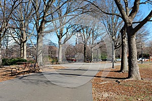 Empty Walkway at McCarren Park in Williamsburg Brooklyn New York photo