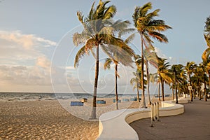 Empty walkway next to a beautiful sandy beach with palm trees in Fort Lauderdale, Florida