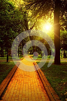 Empty walkway in park