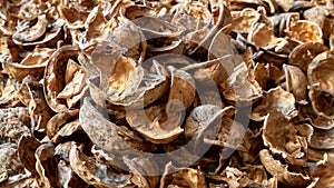 Empty walnut shell. Nut shell background. Texture of nuts close-up. Selective focus