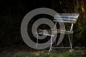 Empty weathered white bench abandoned in the shade of the trees in a park, while the first spring light falls through the branches