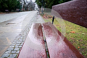 Empty wet brown bench, empty pathway in the park in Warsaw, Poland, blurred background