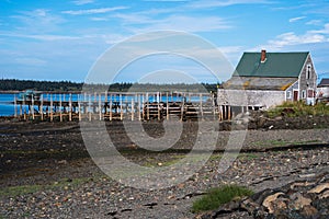 Empty wharf and Fish Shed