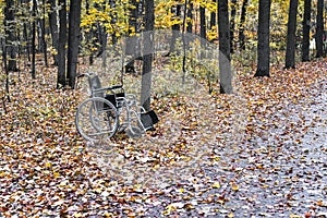 Empty wheelchair in the autumn forest, concept of hope and miracle, mobility and recovery of disabled people