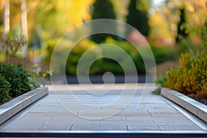 empty wheelchairaccessible ramp, blurred variety of shrubs in back