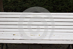 Empty white bench on an autumn scenery park