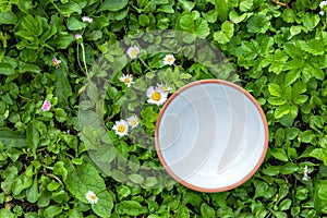 Empty white bowl