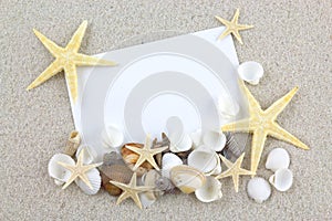 Empty white card with starfishes and seashells on the beach