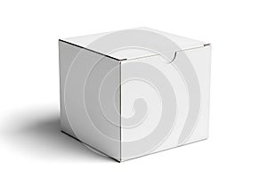 Empty white cardboard box