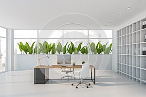 Empty white CEO office interior with plants