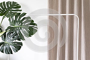 Empty white clothes hanger on a neutral background. Indoor monstera flower.