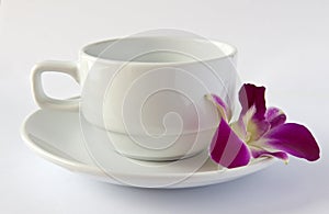 Empty white cup and saucer and an orchid