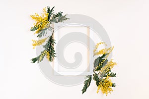 Empty white frame and yellow mimosa flowers on a white background of the top view with space copy. Flat lay