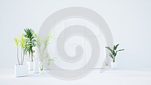 Empty white room interior with classic picture frames, tropical home plants on the floor