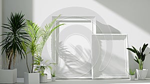 Empty white room interior with classic picture frames, tropical home plants on the floor, sunlight from windows. zoom in